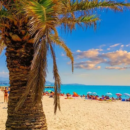 Vue T2 Luxe Climatise Marina Baie Des Anges 8, Plages A 100 M *